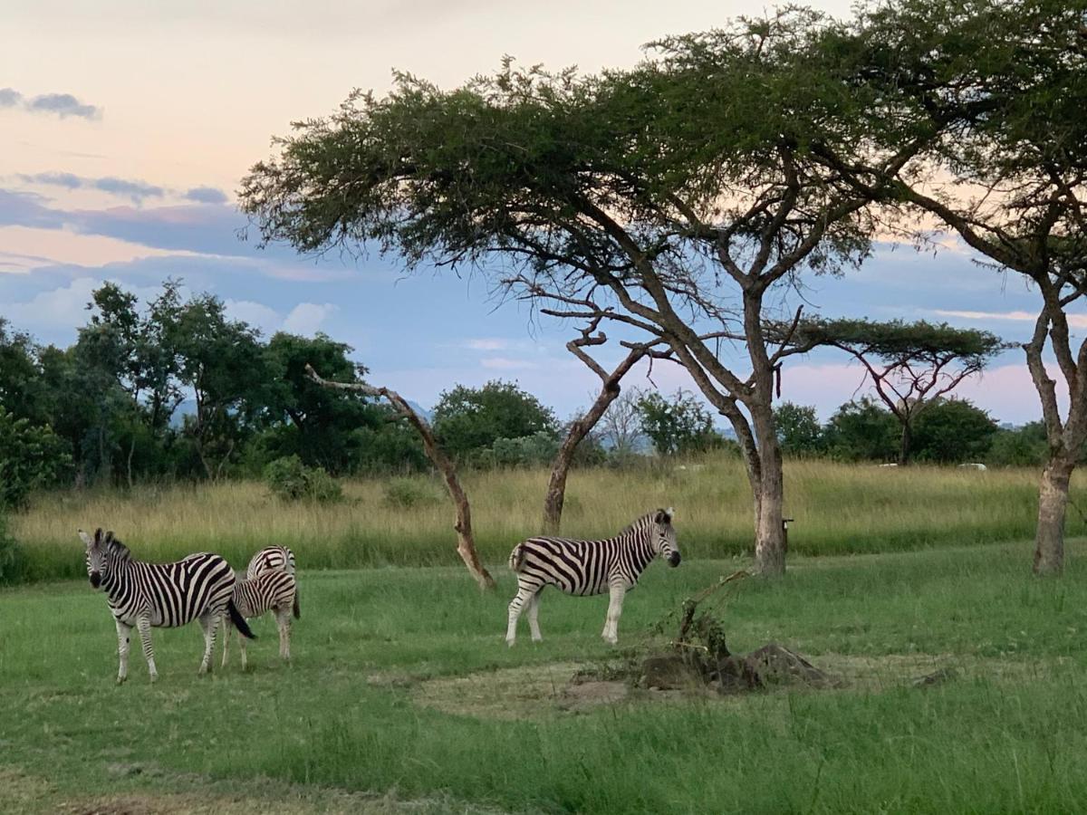 Lodge Muluwa White River