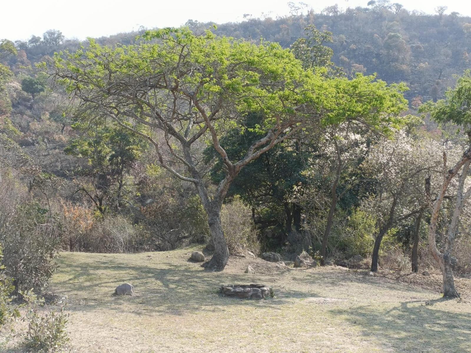 Muluwa