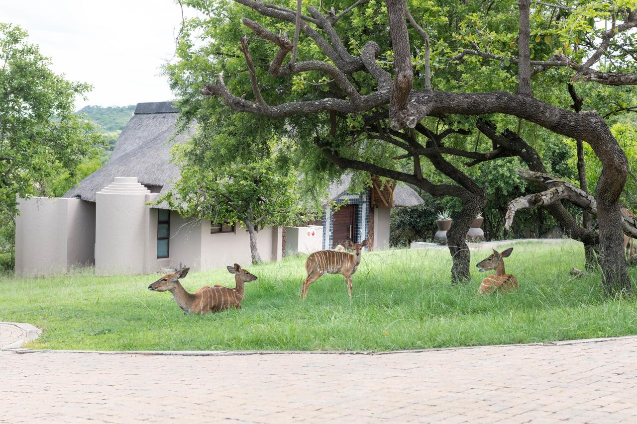 Muluwa Lodge White River