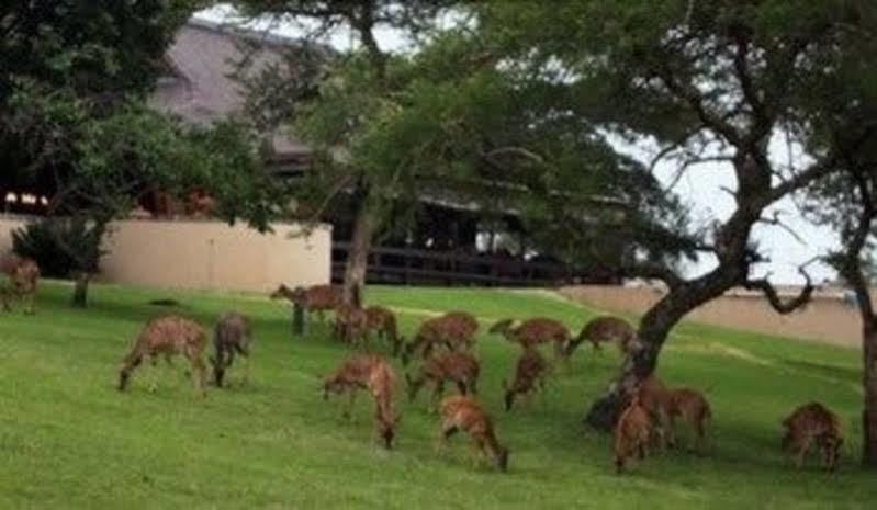 Muluwa Lodge White River