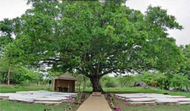 Lodge Muluwa White River